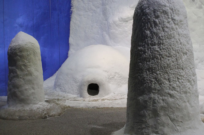 The Arctic Ice Adventure Room houses a small igloo and a brief presentation featuring polar bears projected onto an ice-covered wall.
