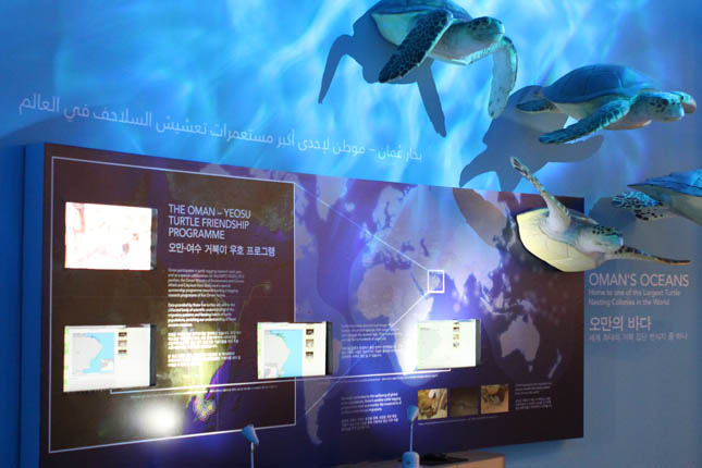 Visitors come face-to-face with the Omani turtle species inside the Oman Pavilion. There, they learn about the conservation work of the Ras Al Hadd turtle reserve. A live satellite feed of Omans turtle-tagging program can be viewed through internet-linked terminals.