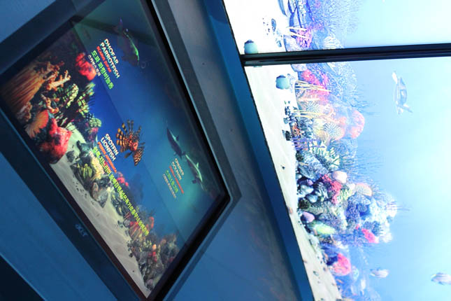 A Virtual Aquarium inside the Oman Pavilion brings visitors on-demand interaction with selected Omani marine species. They simply select fish and other ocean inhabitants on touchscreen monitors, and realistic animated versions of those creatures swim onto the screen/aquarium on command.