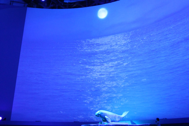 The final presentation inside the Theme Pavilion culminates when a life-size version of an ocean-faring seal descends from the ceiling amidst a cumulous cloud of ocean-blue light and smoke.