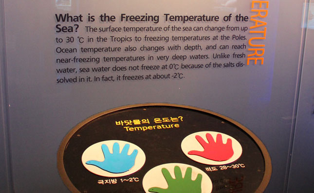 Inside the Ocean and Coast Best Practice Area, attendees could experience a variety of hands-on interactive displays. In one, they placed their hands on color-coded surfaces to feel the vast range of ocean temps that run from a polar 28 degrees Fahrenheit to a perspiring 86 degrees Fahrenheit.